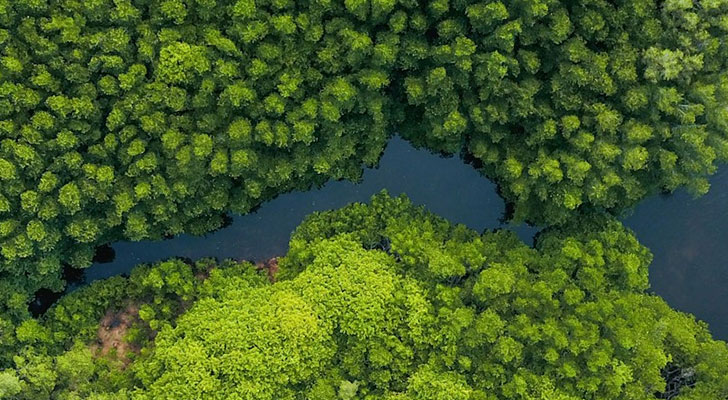 Aerial landscape of river and forest.